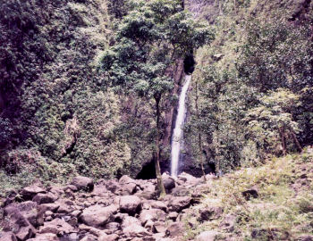 Continuous Perennial Stream, Kaluanui Stream, Kaliuwaa Valley