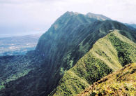 Worlds wettest regions