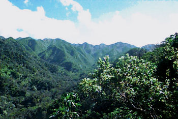 Koolau summit region, O'ahu