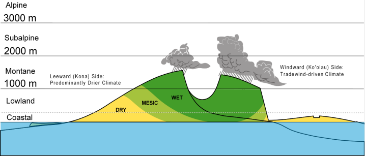 elevation and moisture settings of Kaua‘i