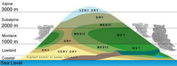 High island climatic setting