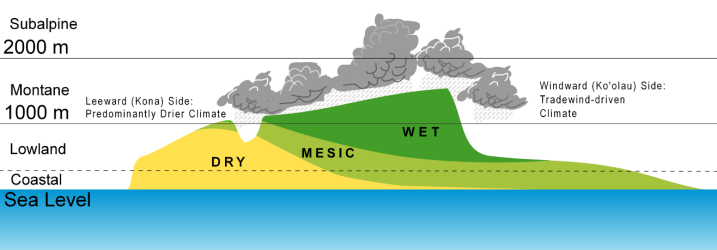 elevation and moisture settings of Kaua‘i
