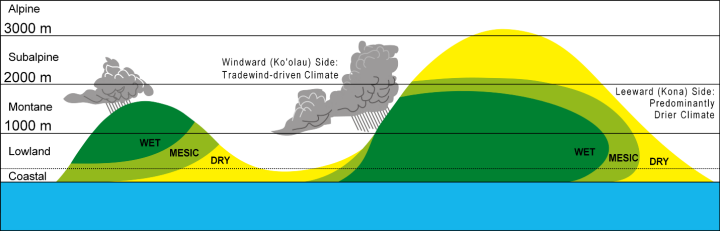 elevation and moisture settings of Maui