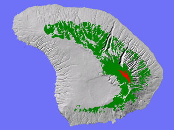 Montane Wet on Lana'i