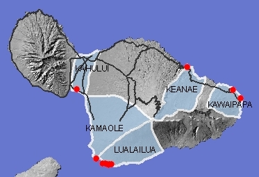Anchialine pools on Maui