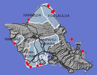 Anchialine pools on O'ahu