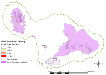 Rare plant concentrations of Maui