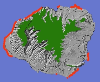 Coastal Vegetation on Kaua'i