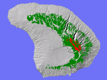 Wet Cliff System, Lana'i