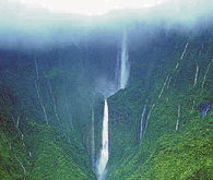 Wet cliff ecosystem, West Maui