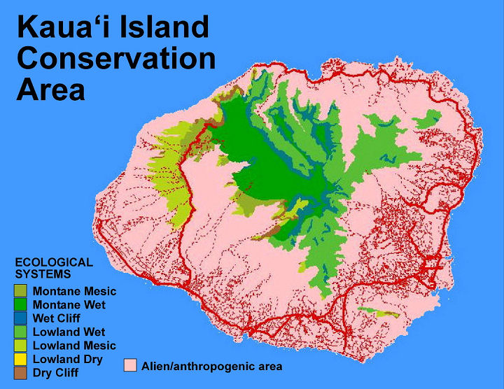 Kaua'i SU