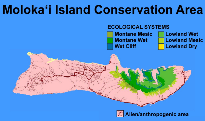 Ecological systems of Moloka'i