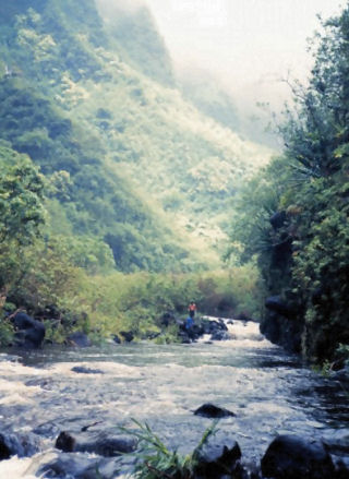 Continuous Perennial Stream, Pelekunu Valley