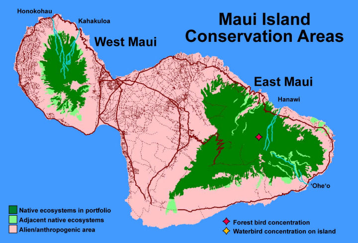 Portfolio for Island of Maui