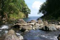 Hawaiian continuous perennial stream natural community
