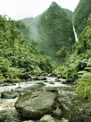 Continuous Perennial Stream, Wainiha Valley